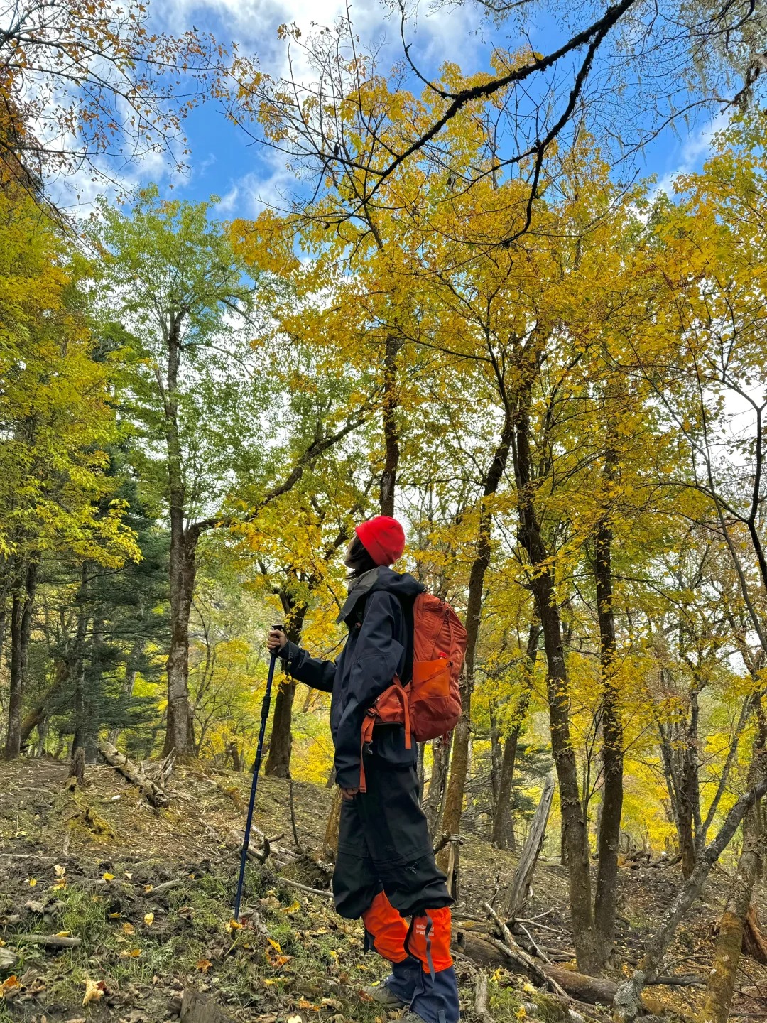 不用去意大利，云南有自己的多洛米蒂！_5_utter_云南-来自52tours 我爱旅游网